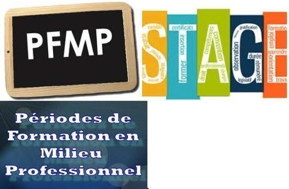 StagesPFMP.jpg