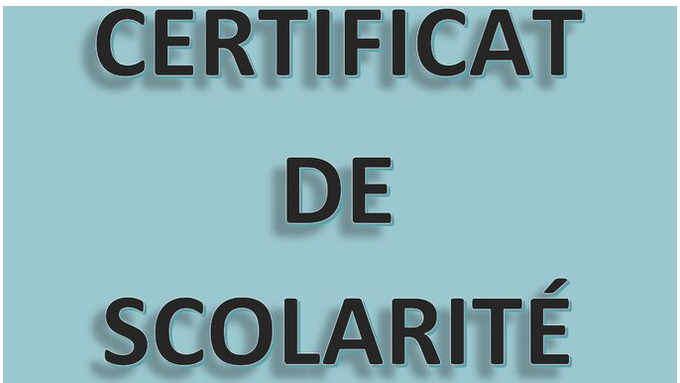 IMAGE CERTIFICAT DE SCOLARITE.png